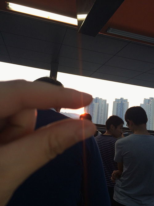 归根结底是什么行,是什么行，归根结底的英文