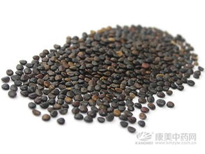 枳椇子的功效与作用及禁忌
