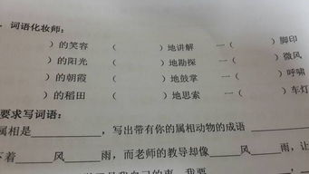什么的问题填合适的词三年级，什么的问题填合适的词一年级下册语文