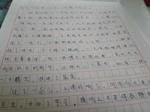 平安校园在我心优秀作文