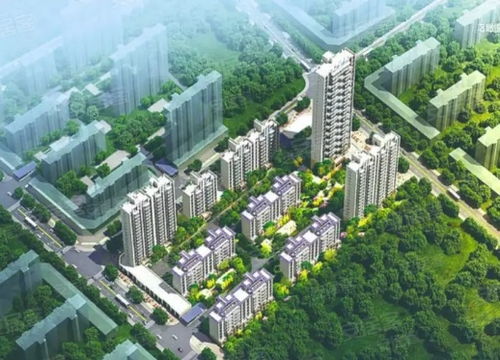 济宁碧桂园济州府楼盘地址在哪里?
