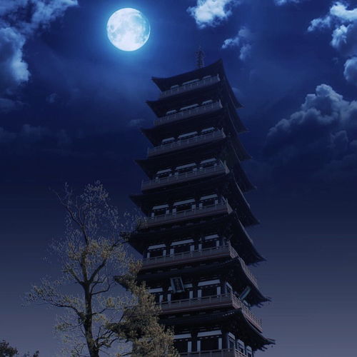 不知天上宫阙 今夕是何年。这首诗词叫什么名