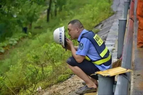 机动车在高速公路上发生故障时车上人员可在什么位置等待救援