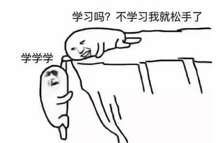 侵袭的拼音