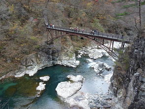 鬼怒川温泉，鬼怒川热史