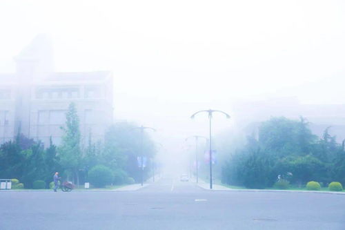 影影绰绰是什么意思 视频，影影绰绰怎么读音是什么