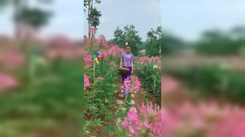 春天真美500字作文，春天真美好想到了哪些成语