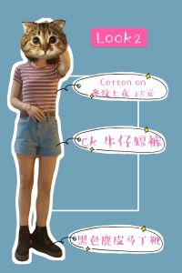 windier是什么意思