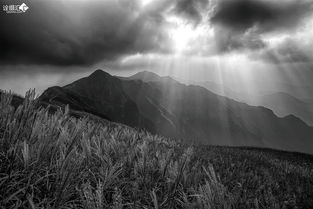 万山之巅简谱，万山之巅的意思