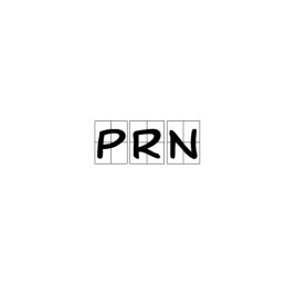 prn文件，prndm档是什么意思