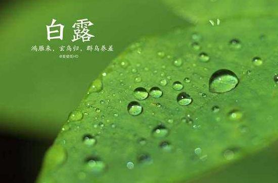 白露的意思