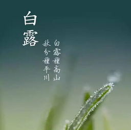 秋分是什么意思，处暑是什么意思