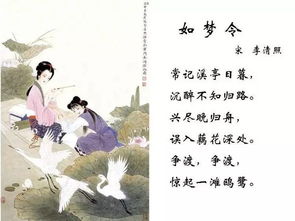 杨雨百家讲坛李清照全集，李清照全集评注