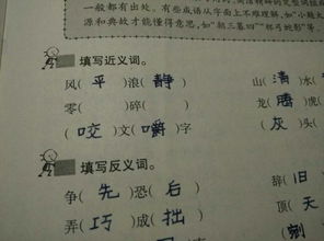 无什么无什么的词语
