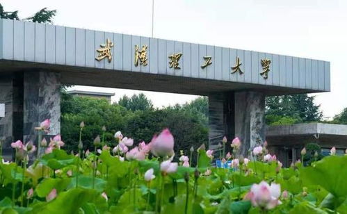 顶级211，纯211大学排名名单(剔除985)