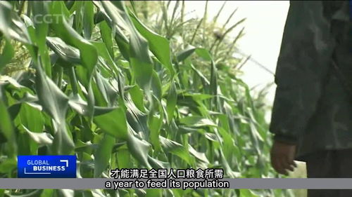单产是什么意思