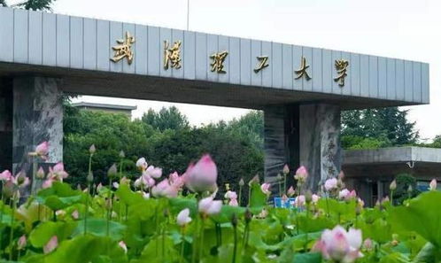 顶尖211大学(非985)有哪些?
