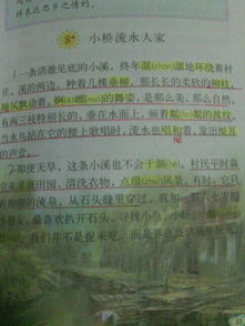 应该的近义词有哪些