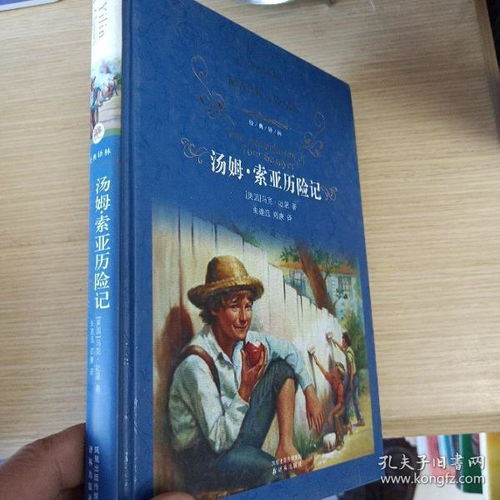 汤姆索亚历险记概括100字左右，汤姆索亚历险记概括主要内容