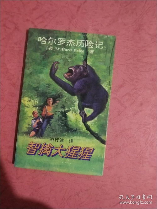 哈尔罗杰历险记读后感，哈尔罗杰历险记亚马孙探险