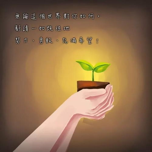 温暖的阳光造句子，温暖的阳光造句50字
