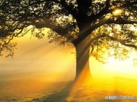 早晨的解释早晨的解释是什么