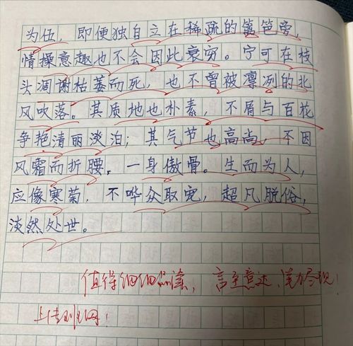 三年级这儿真美作文12篇