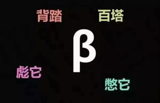couple怎么读