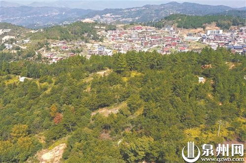 高田村位于哪个省哪个市