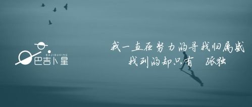 归属是什么意思，归属净利润