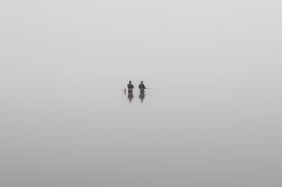 知己知彼是什么意思