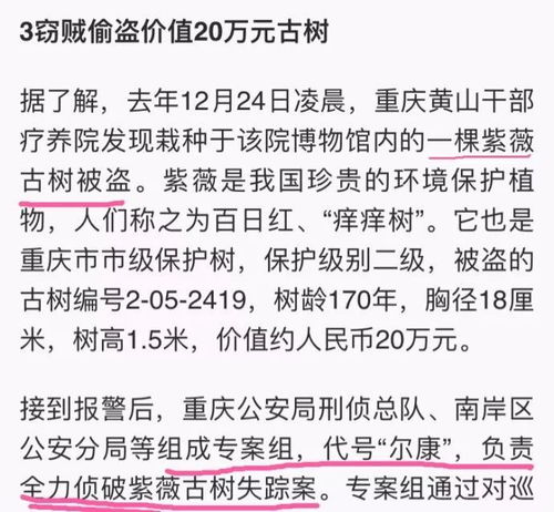 关于尊重作文700字5篇