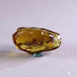 琥珀是什么意思解释