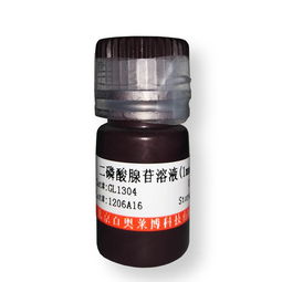 lactate偏高，Lactated Ringer