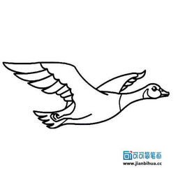 大雁怎么画