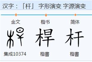 竹组词语和拼音，竹组词语文