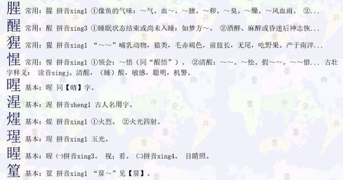 星字组词100个，新字组词100个