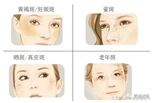 可见一斑的意思?