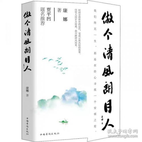 清风朗月的意思