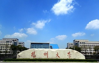 扬州大学好的专业有哪些