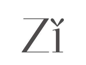 zippo，自闭症的孩子有哪些症状