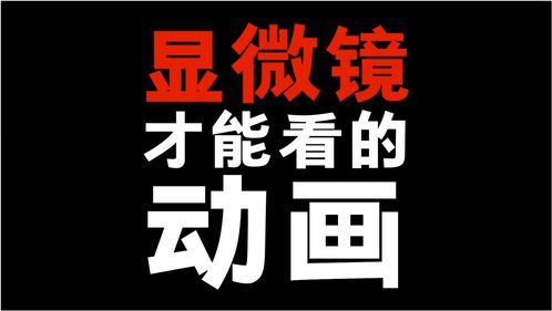 能的成语，能的部首