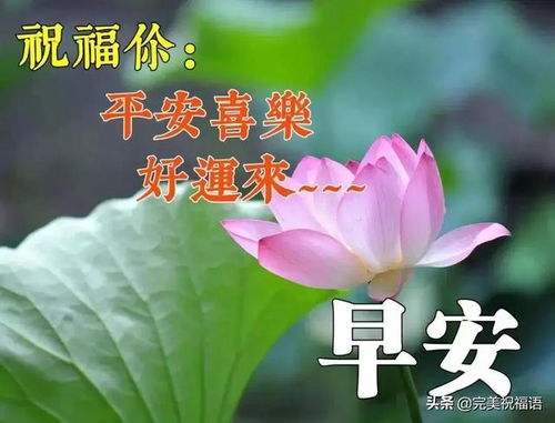 今天天气好心情好的说说
