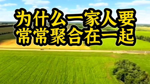 “聚在一起”是什么意思?