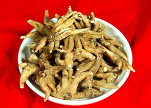 掌参的功效与作用