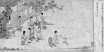七月诗经原文及翻译，七月诗经原文注音注释和翻译