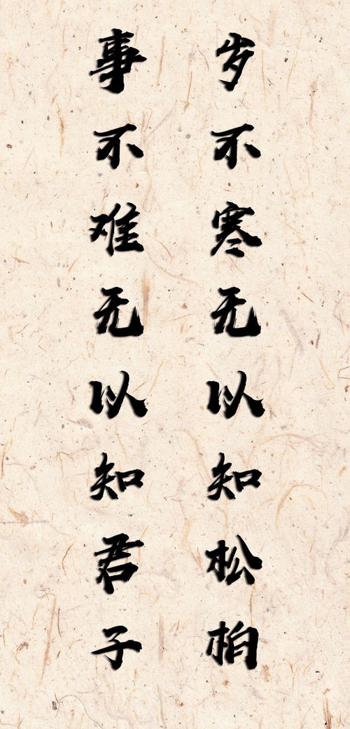 古文中"无以"有哪些意思