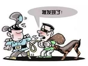 做贼心虚指什么生肖，做贼心虚的下一句