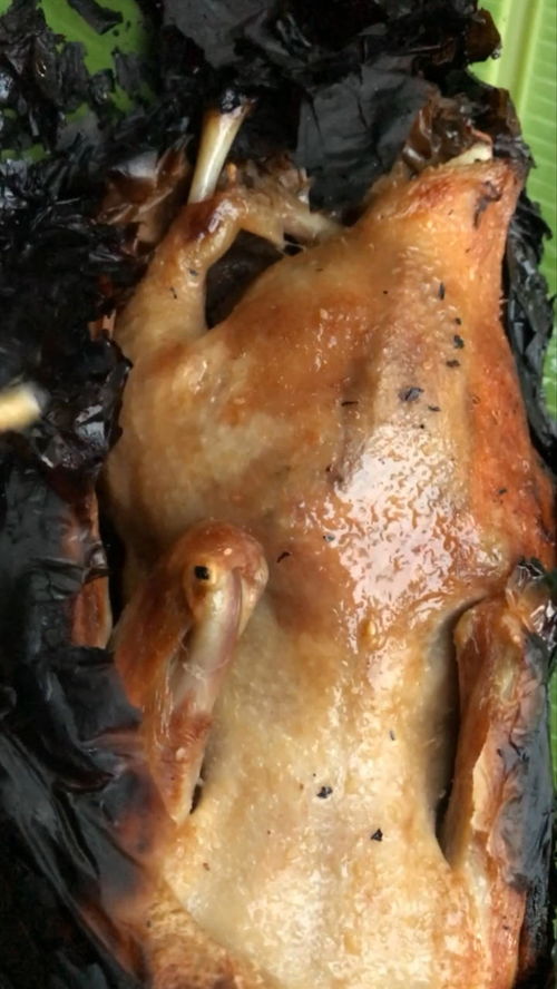 花鸭借钱可靠吗?