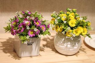 耐阴观花植物，观花植物名词解释